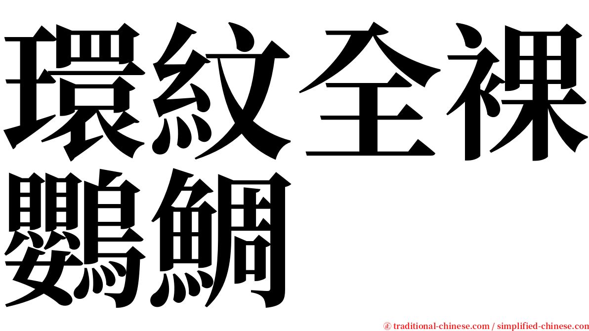 環紋全裸鸚鯛 serif font