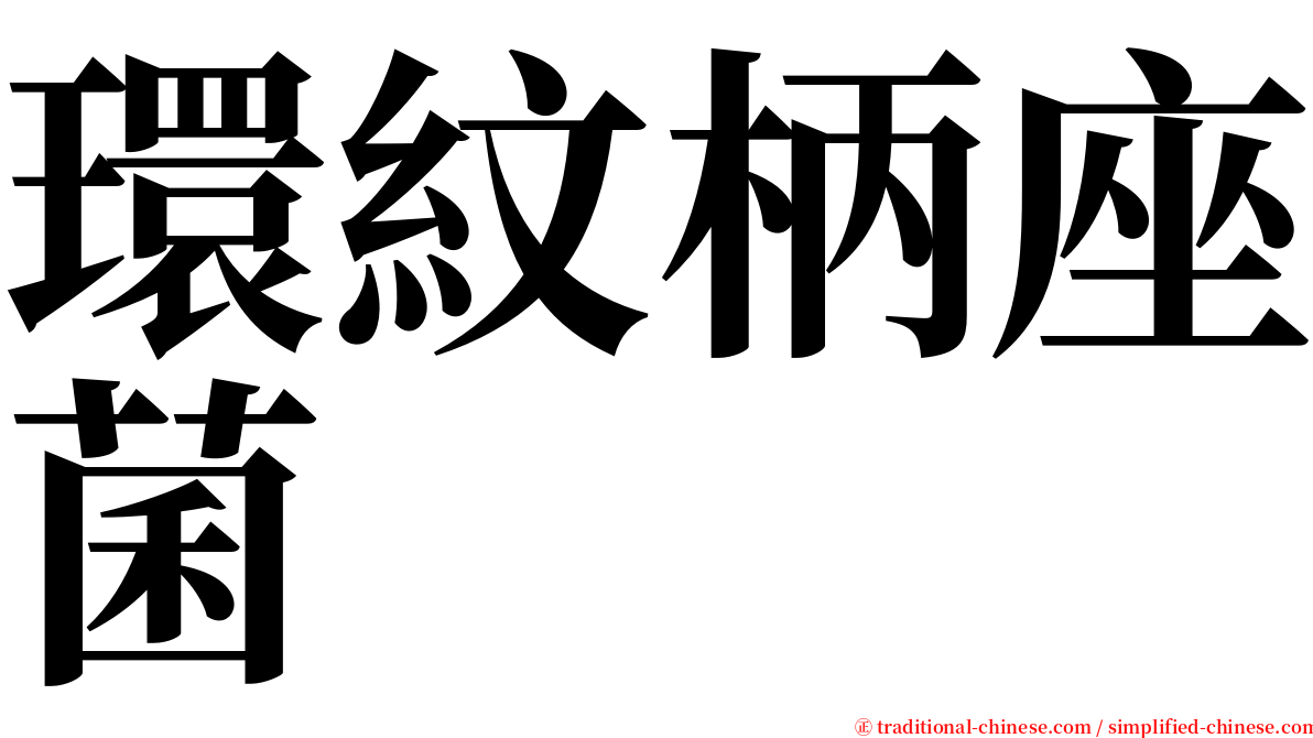 環紋柄座菌 serif font