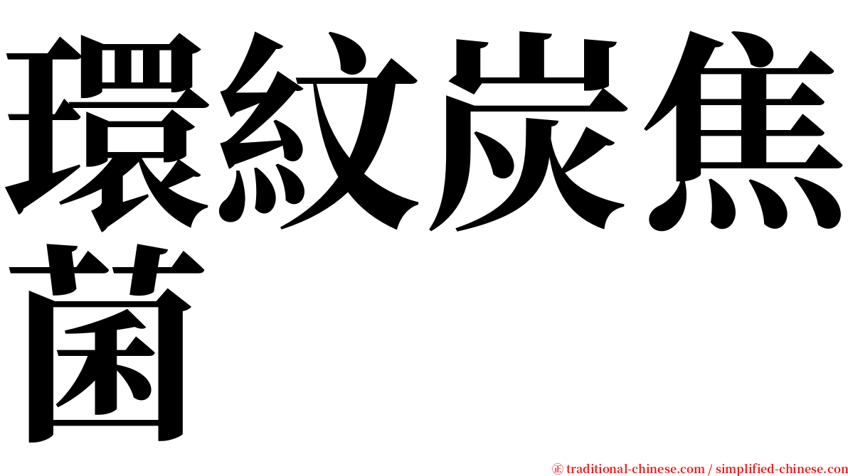 環紋炭焦菌 serif font