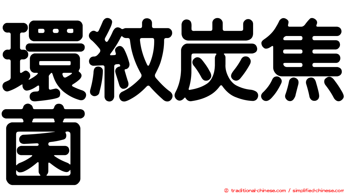 環紋炭焦菌