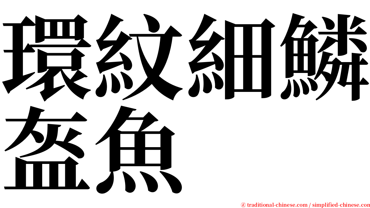 環紋細鱗盔魚 serif font