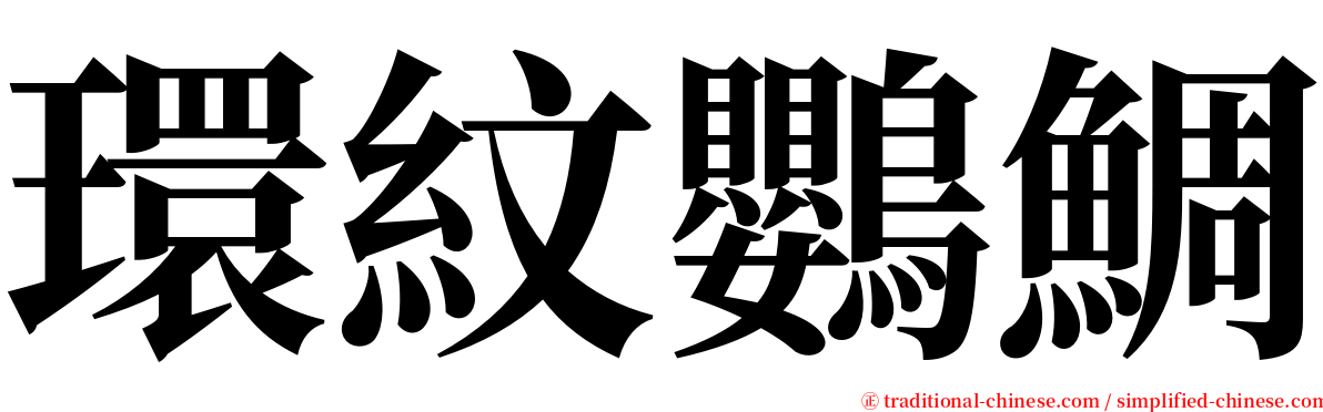 環紋鸚鯛 serif font