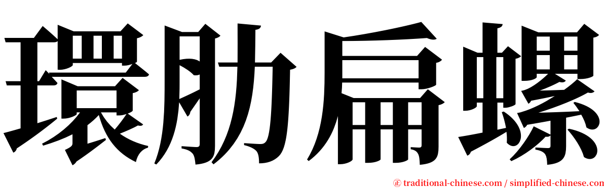 環肋扁螺 serif font