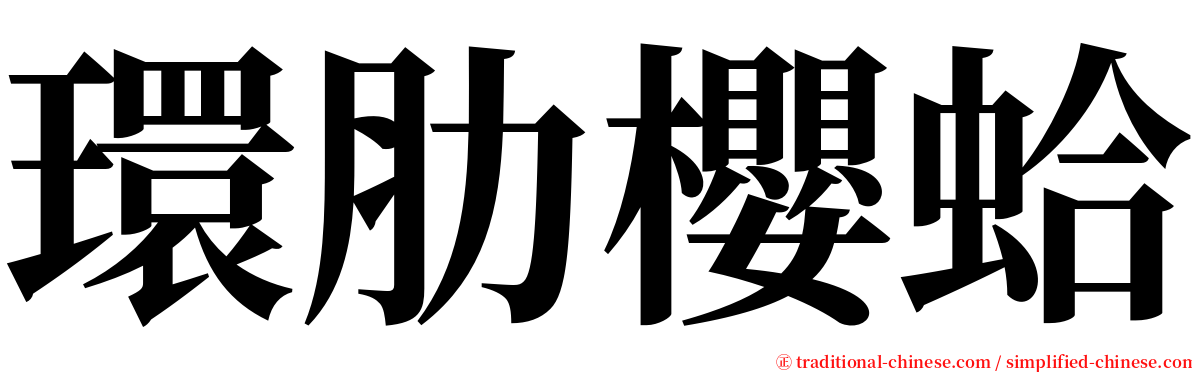 環肋櫻蛤 serif font