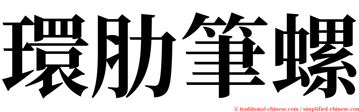 環肋筆螺 serif font