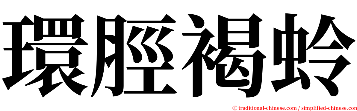 環脛褐蛉 serif font