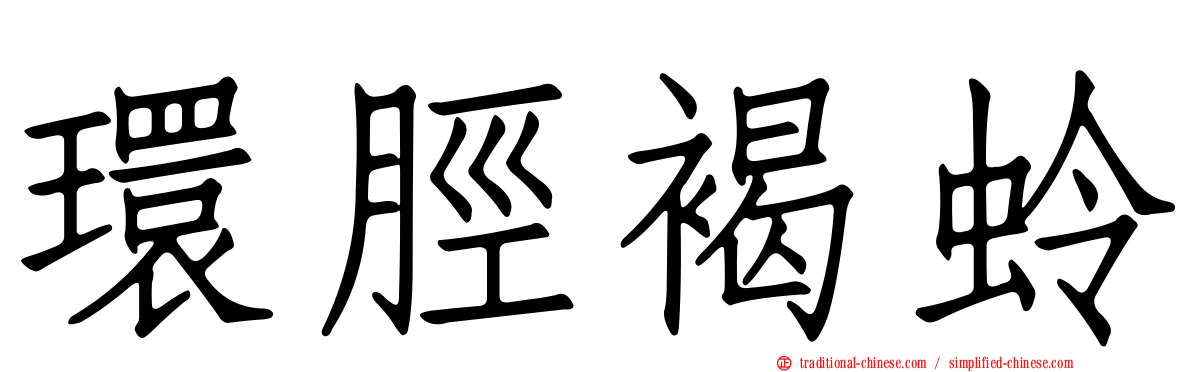 環脛褐蛉