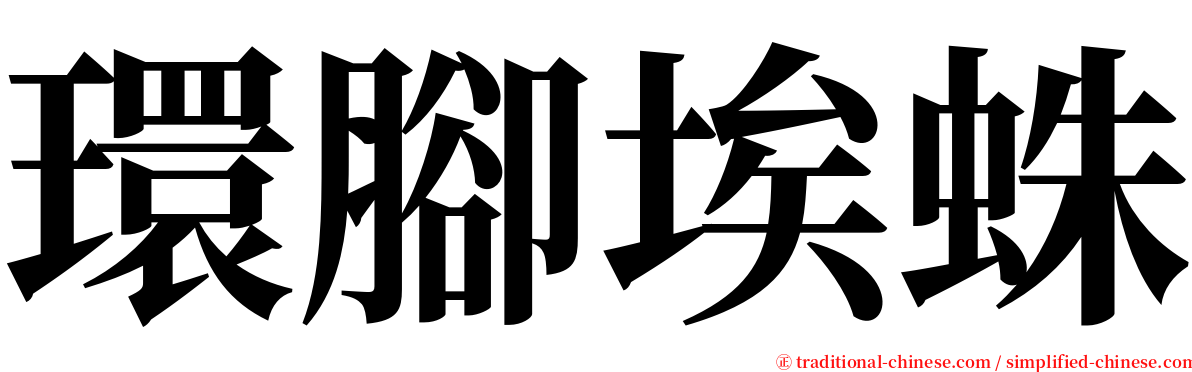 環腳埃蛛 serif font