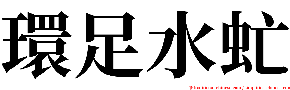 環足水虻 serif font