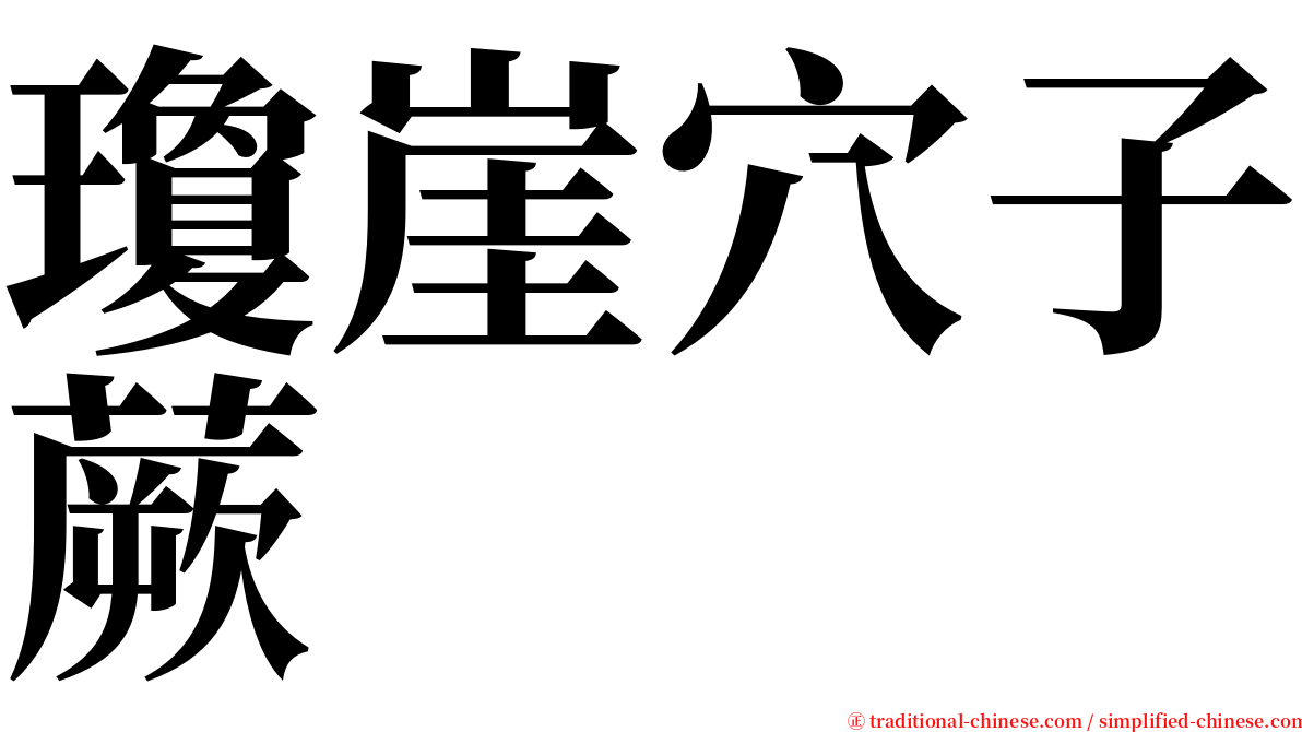 瓊崖穴子蕨 serif font
