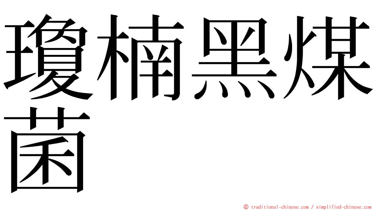 瓊楠黑煤菌 ming font