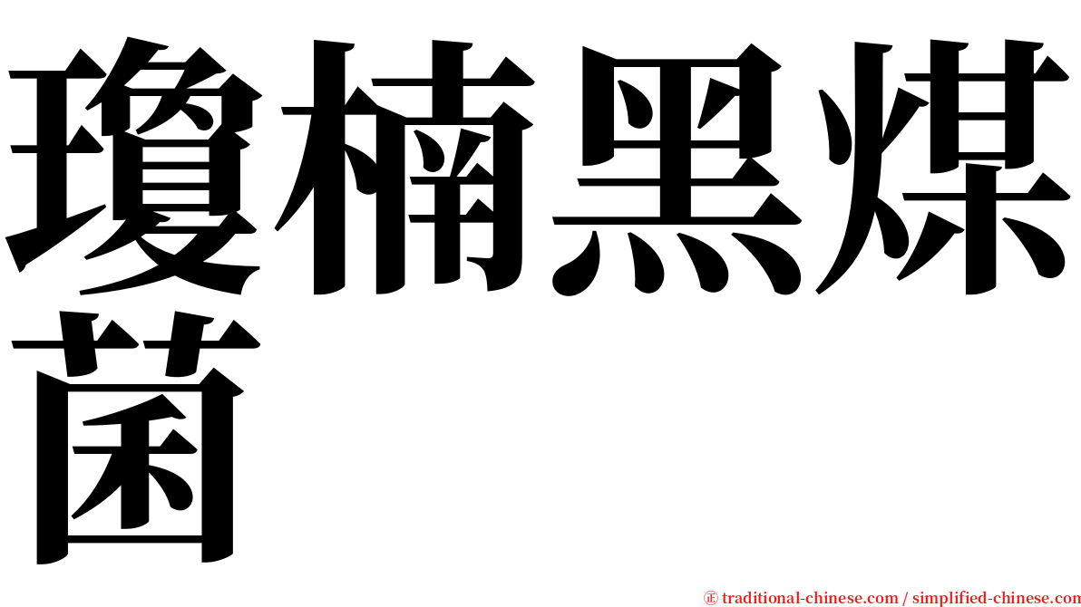 瓊楠黑煤菌 serif font