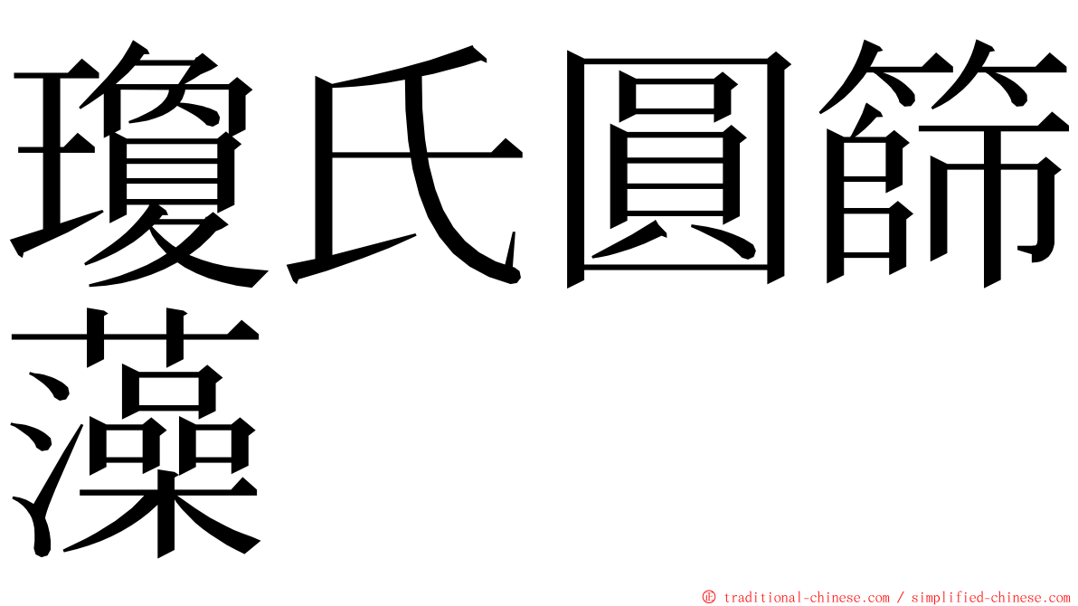 瓊氏圓篩藻 ming font