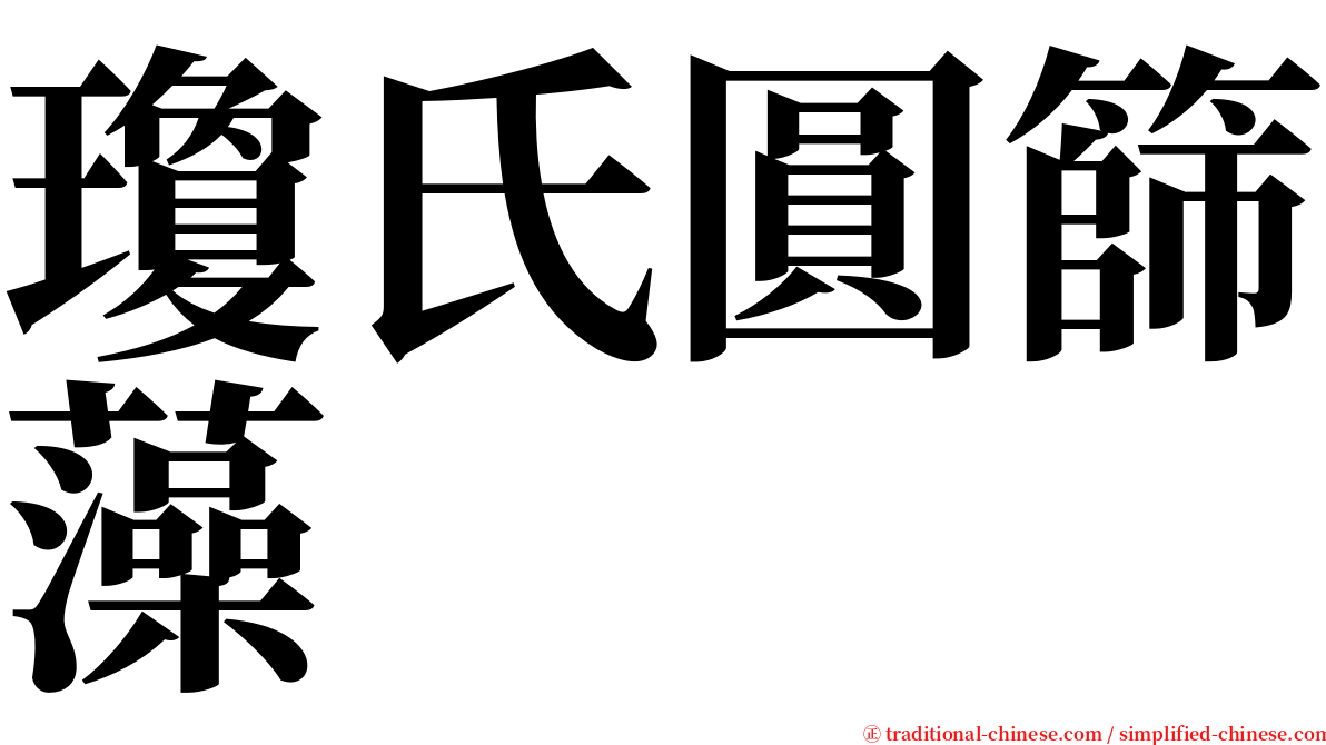 瓊氏圓篩藻 serif font