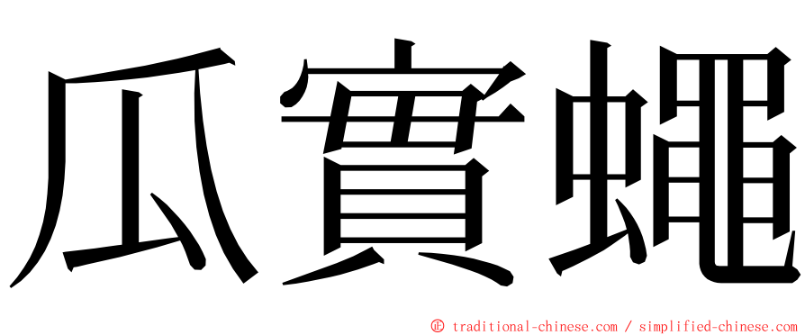 瓜實蠅 ming font