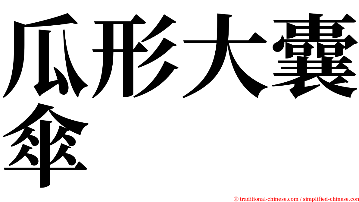瓜形大囊傘 serif font