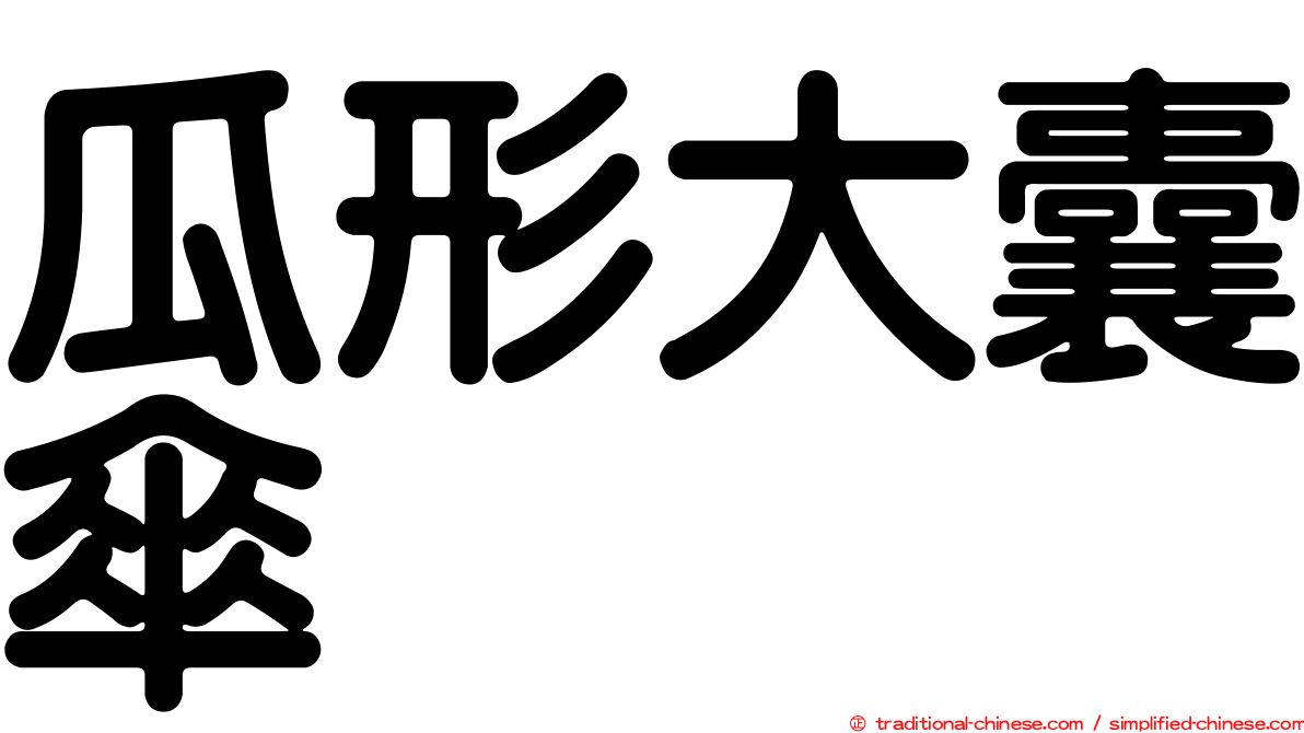 瓜形大囊傘
