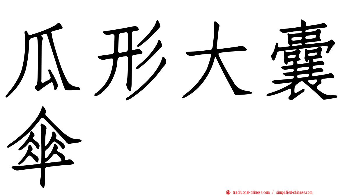 瓜形大囊傘