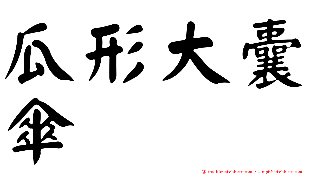 瓜形大囊傘