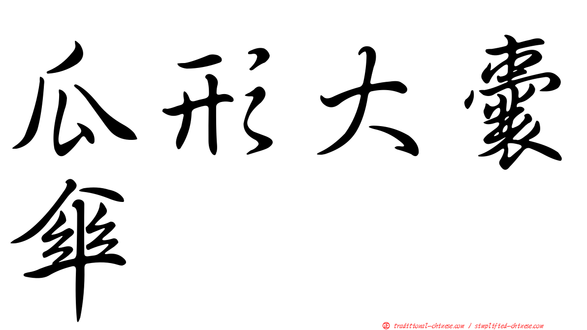瓜形大囊傘