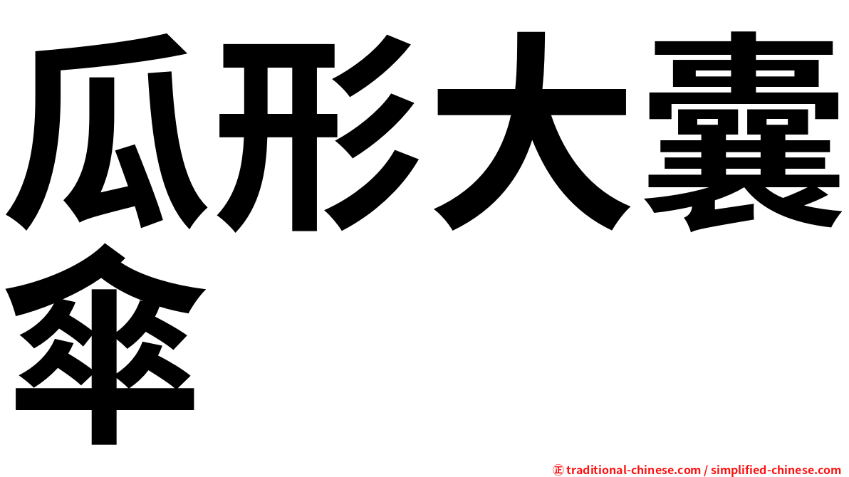 瓜形大囊傘