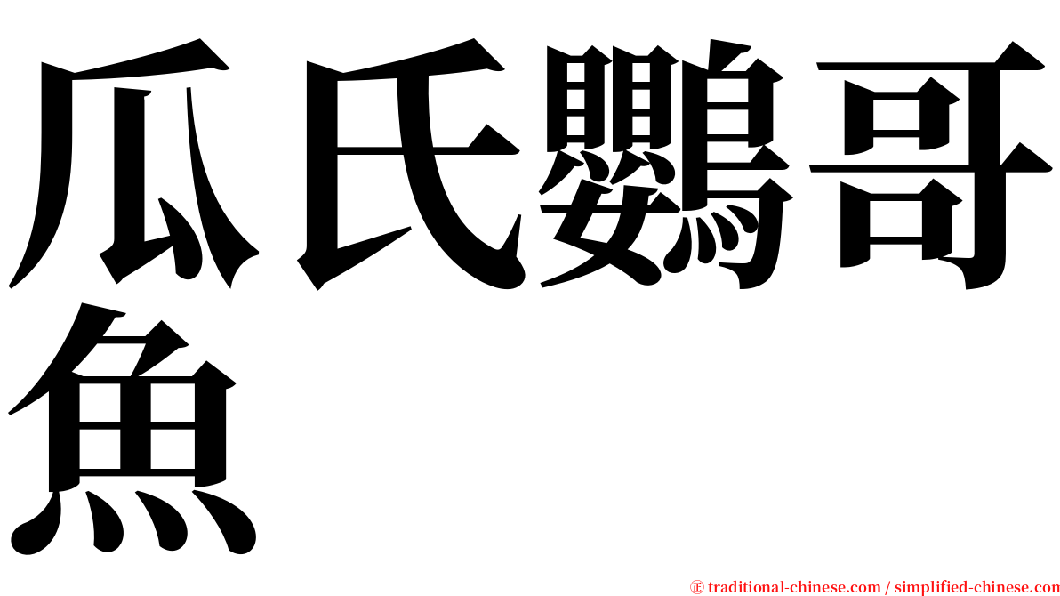 瓜氏鸚哥魚 serif font