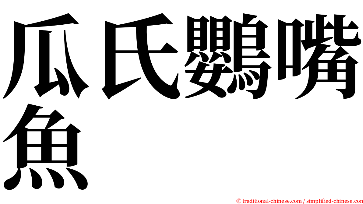 瓜氏鸚嘴魚 serif font