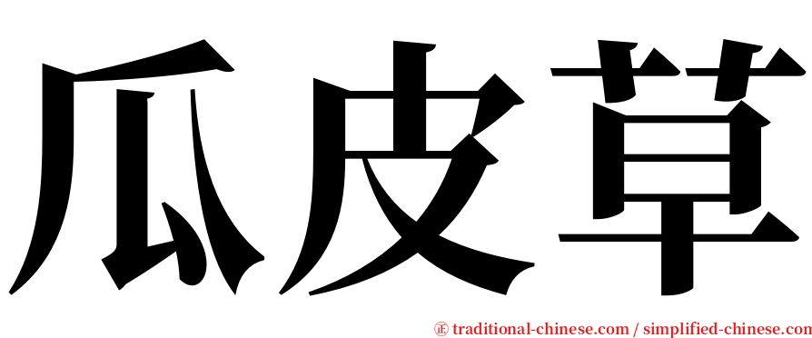 瓜皮草 serif font