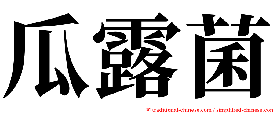 瓜露菌 serif font