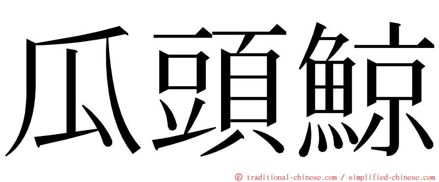 瓜頭鯨 ming font