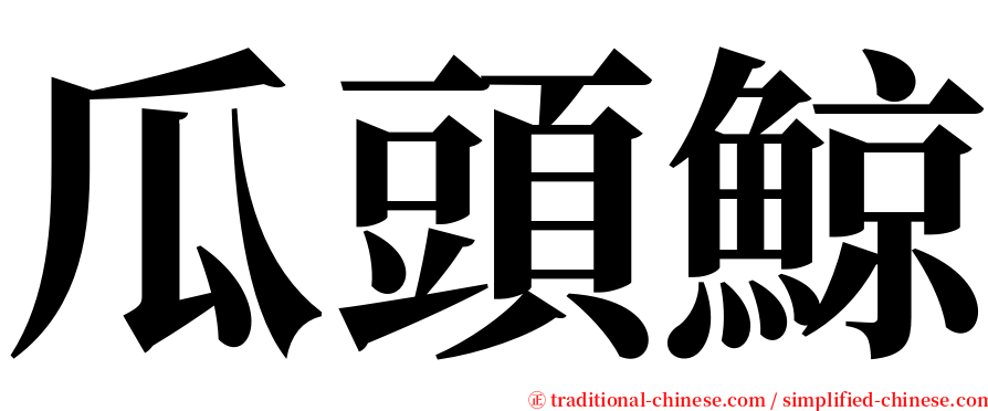 瓜頭鯨 serif font