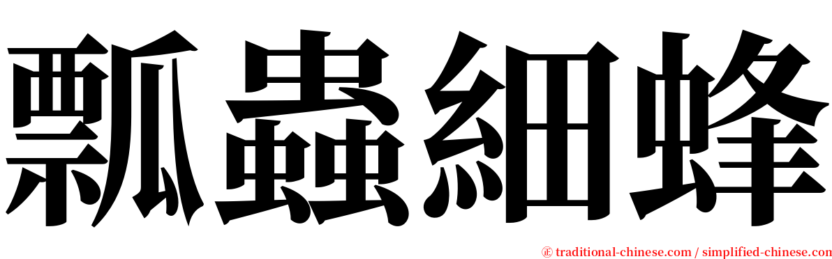 瓢蟲細蜂 serif font