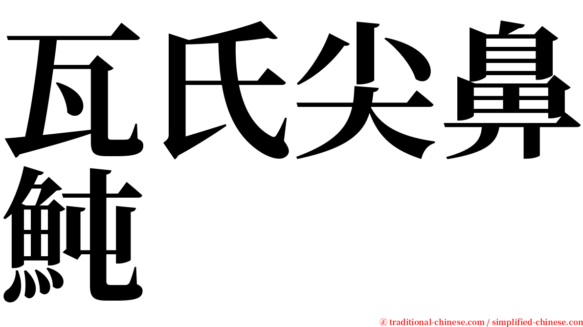 瓦氏尖鼻魨 serif font