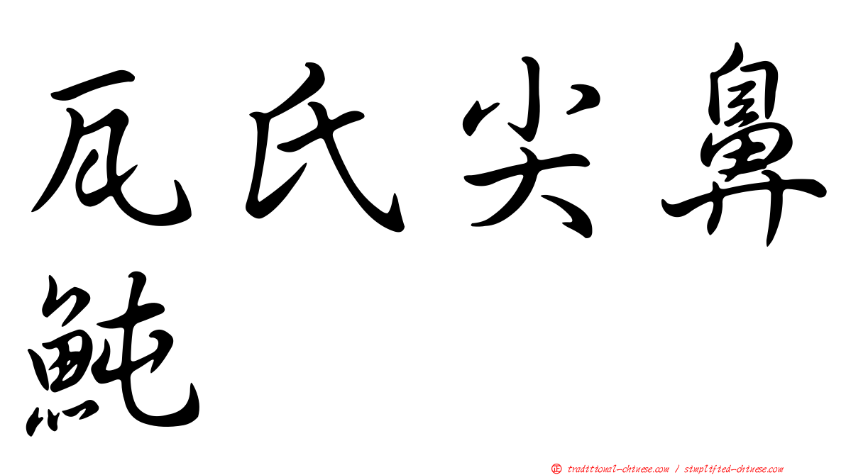 瓦氏尖鼻魨