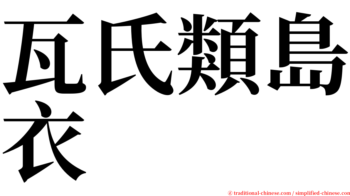 瓦氏類島衣 serif font