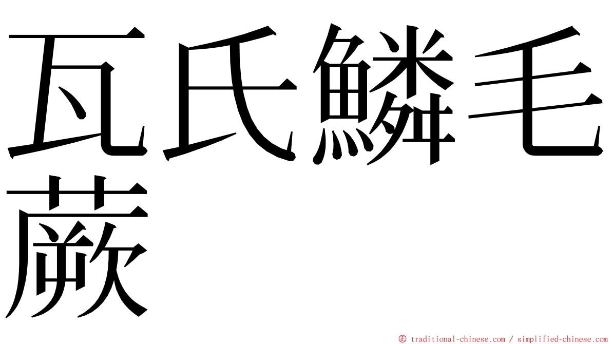 瓦氏鱗毛蕨 ming font