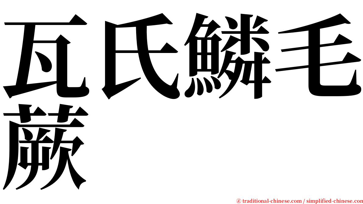 瓦氏鱗毛蕨 serif font