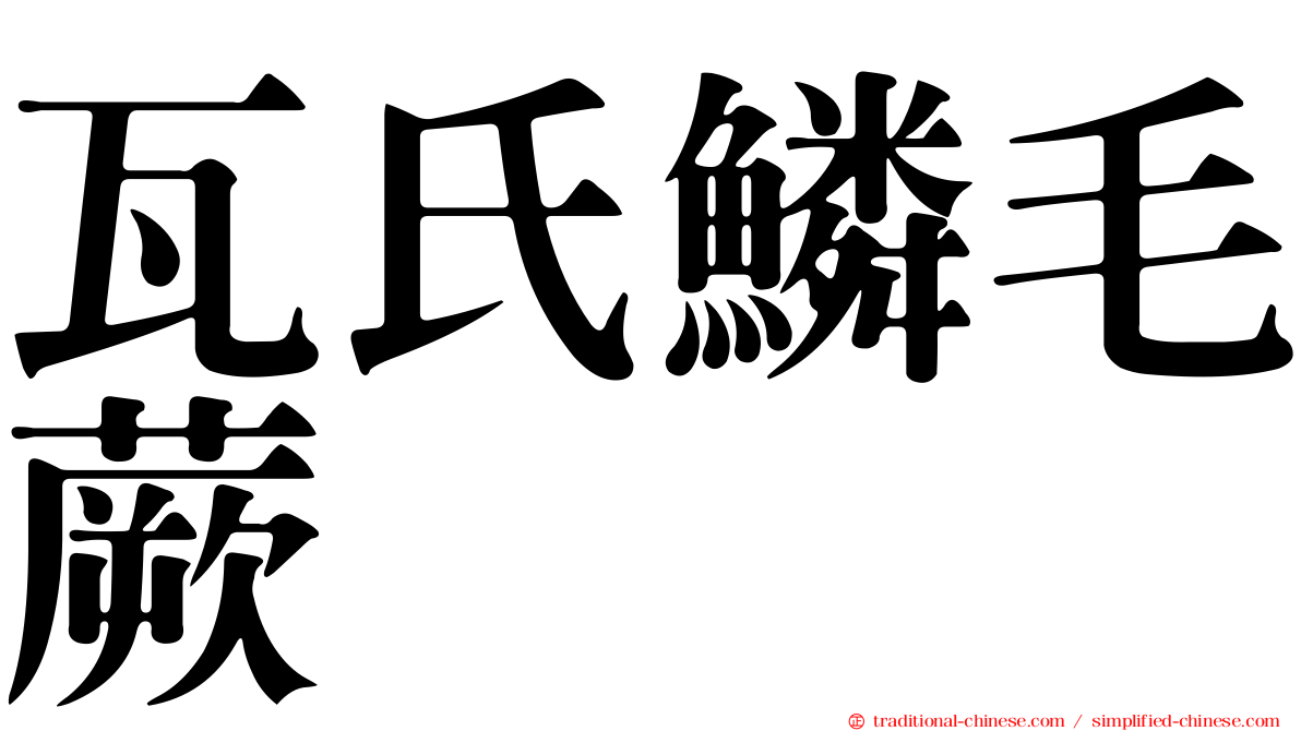 瓦氏鱗毛蕨