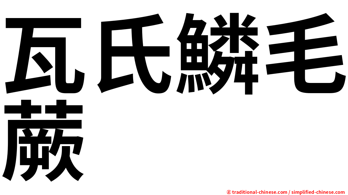 瓦氏鱗毛蕨