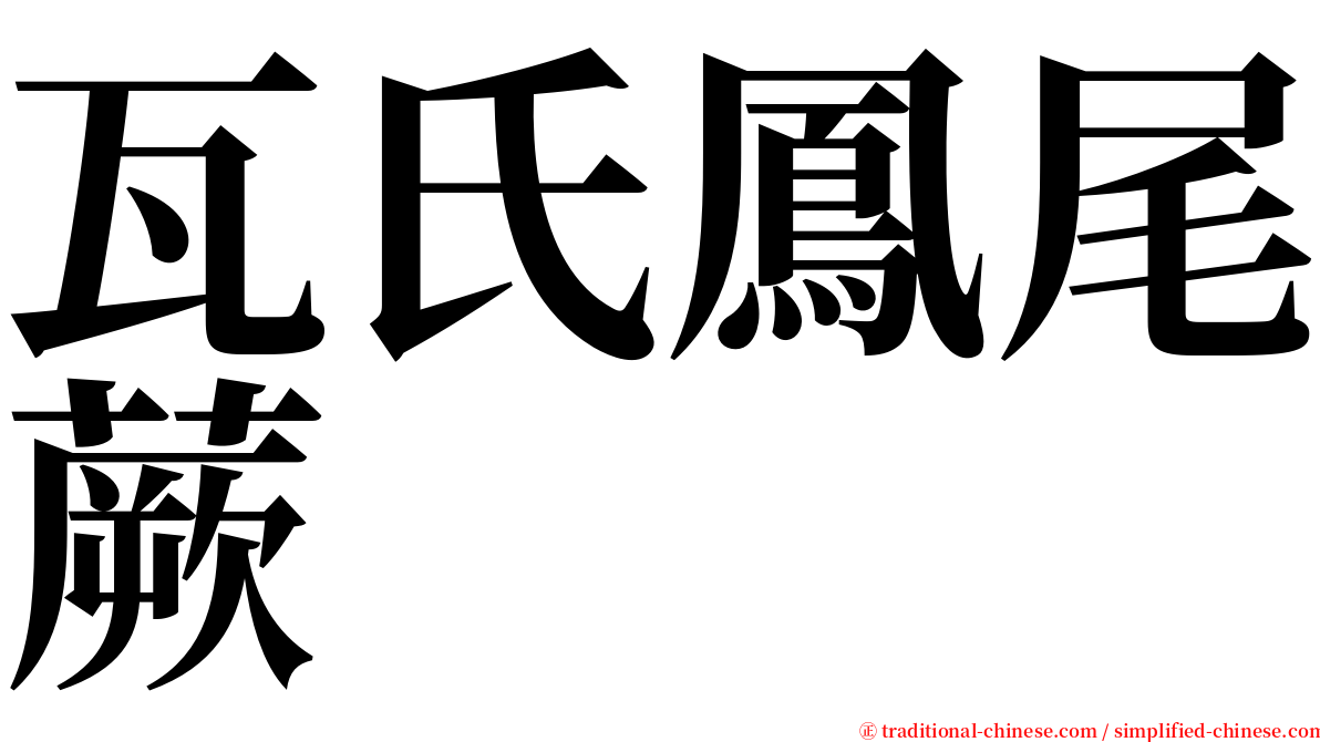 瓦氏鳳尾蕨 serif font