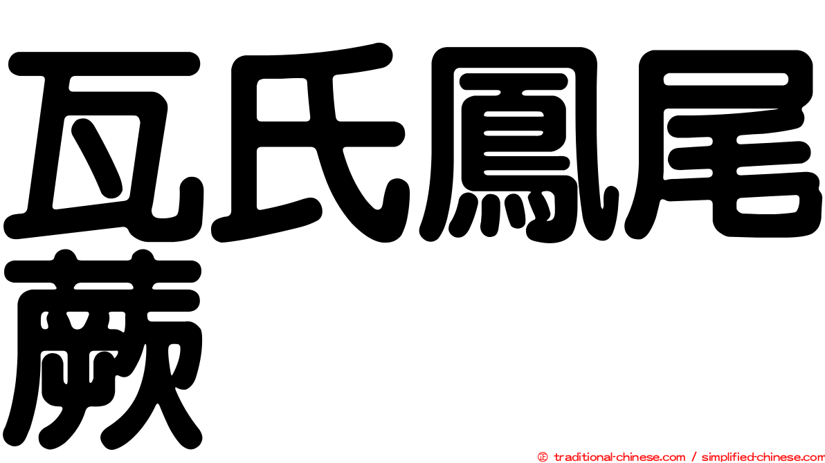 瓦氏鳳尾蕨