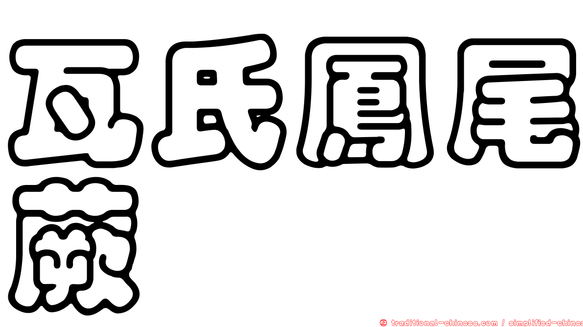 瓦氏鳳尾蕨