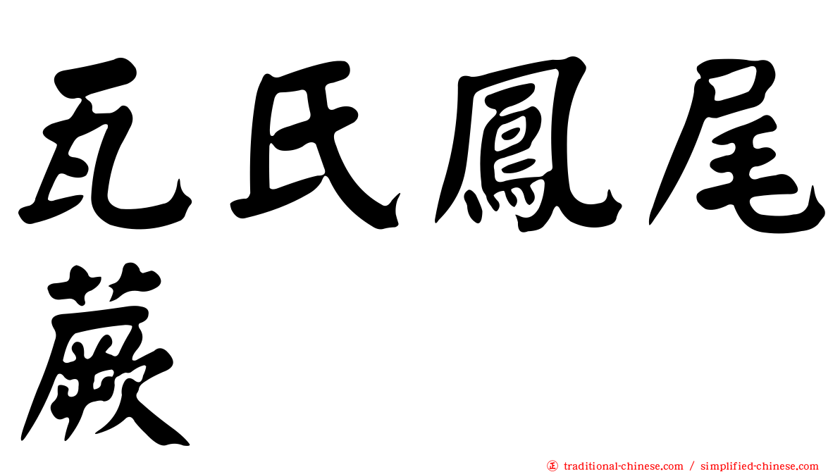 瓦氏鳳尾蕨