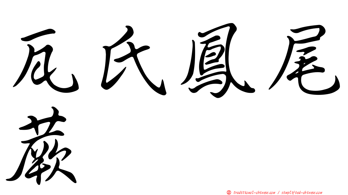 瓦氏鳳尾蕨