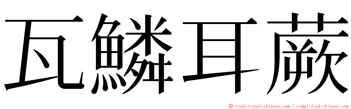 瓦鱗耳蕨 ming font