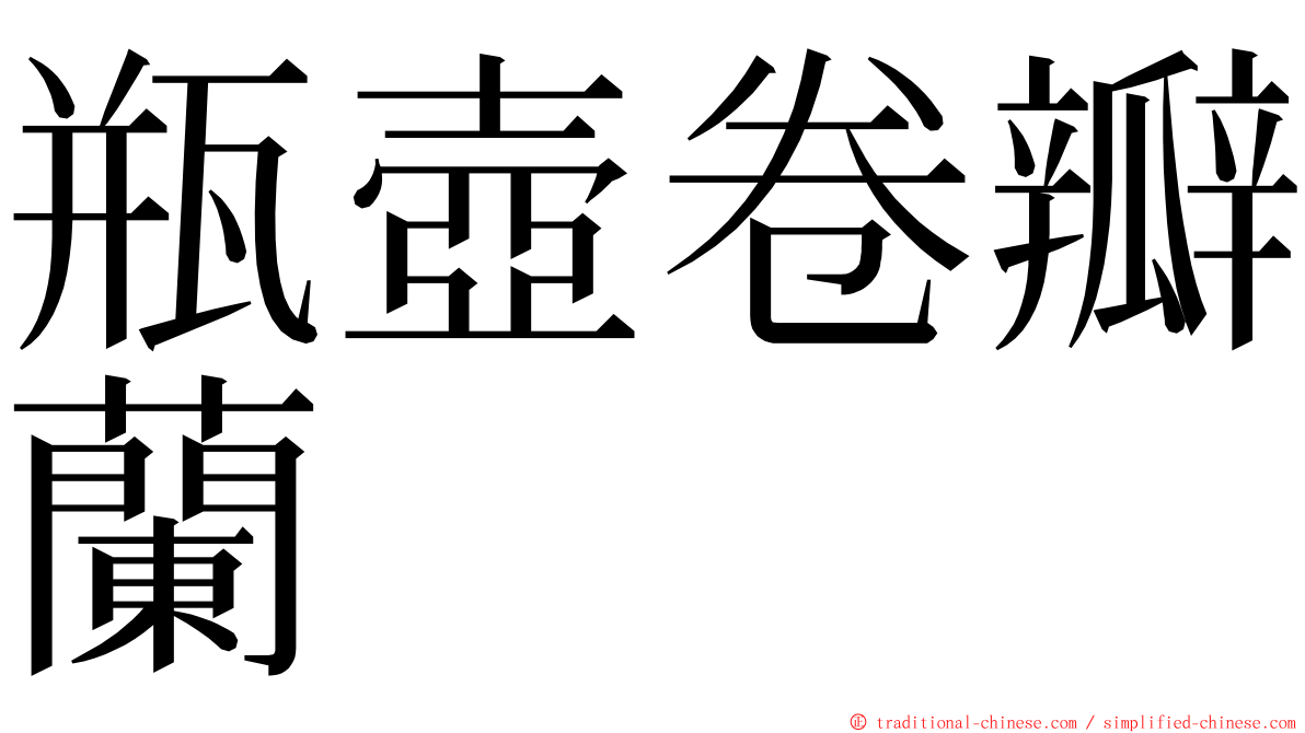 瓶壺卷瓣蘭 ming font