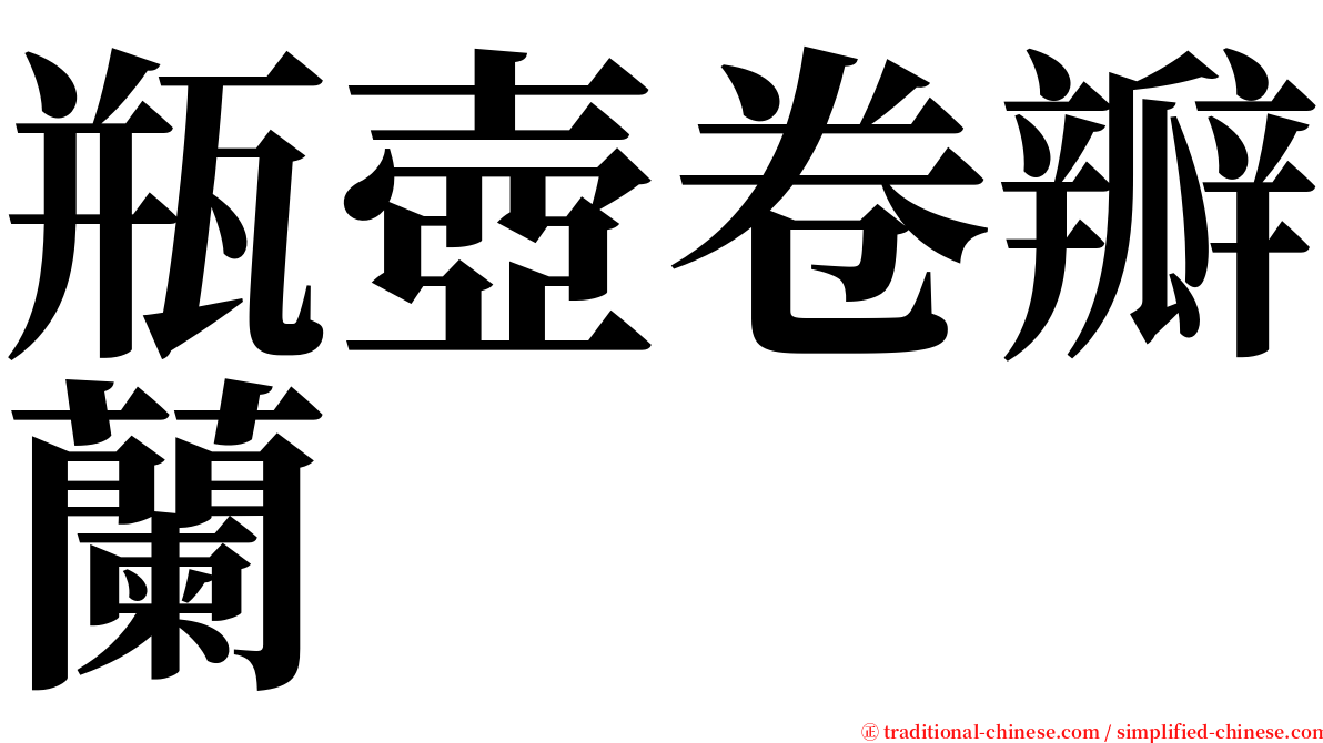 瓶壺卷瓣蘭 serif font