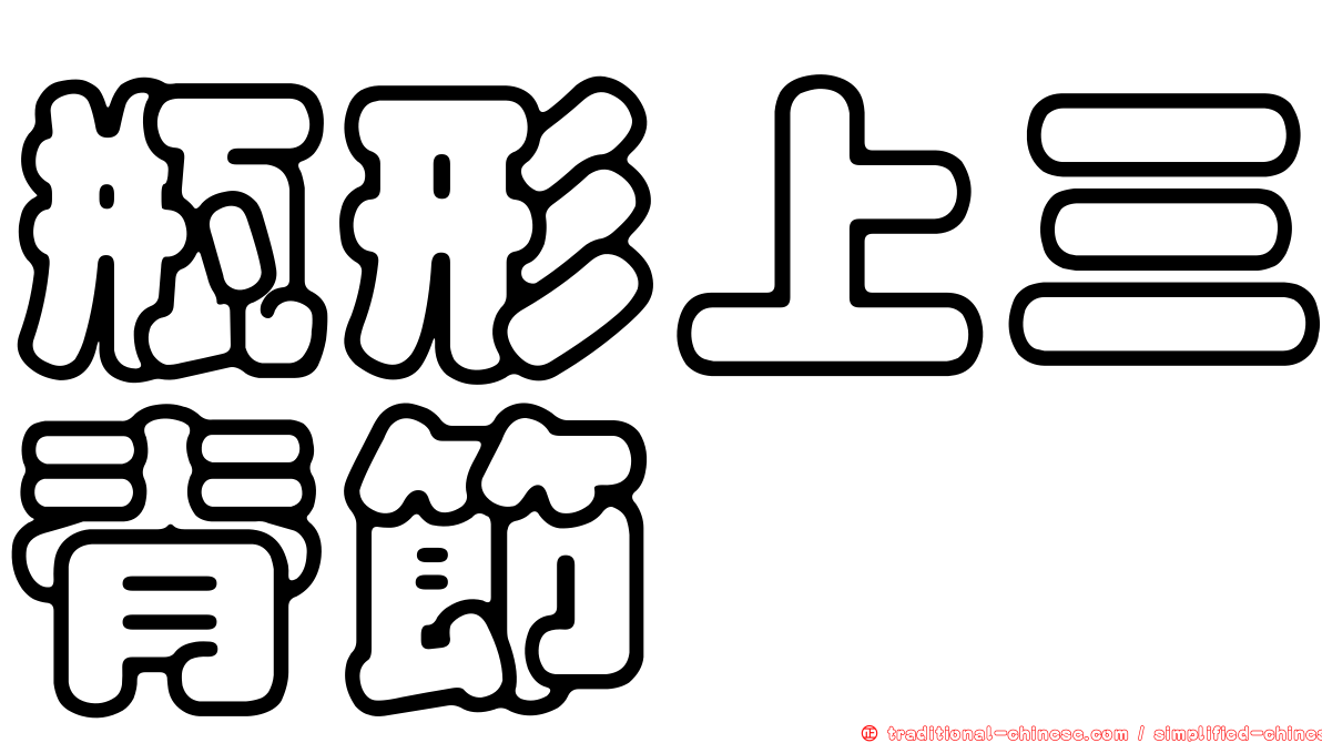 瓶形上三脊節蜱