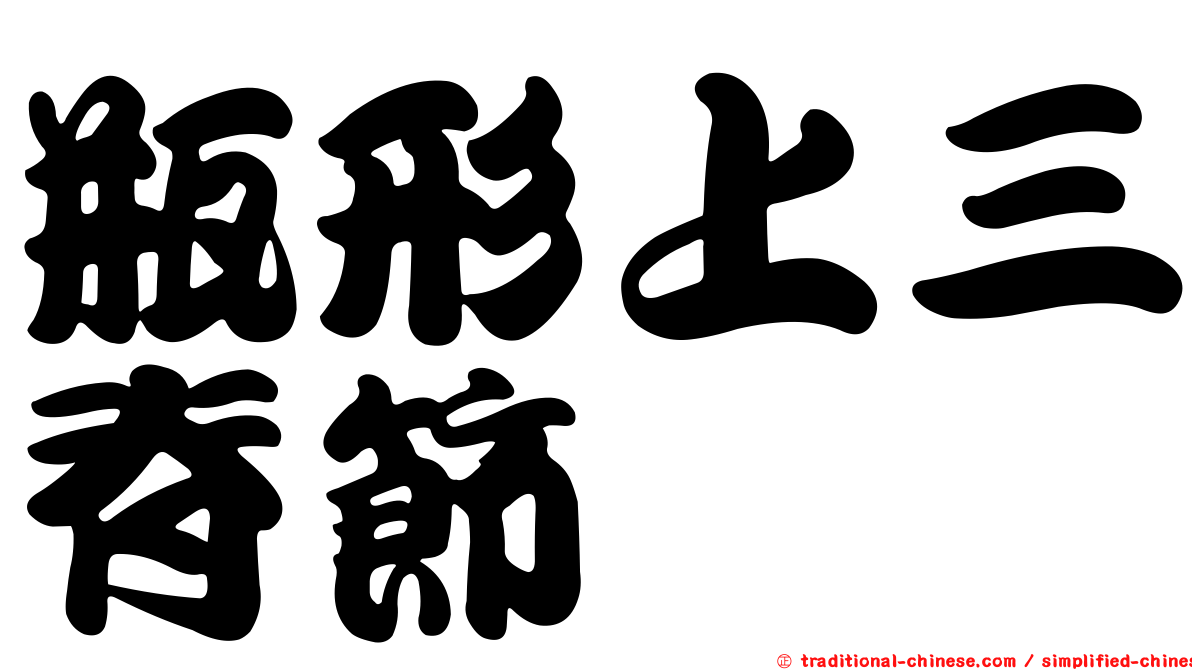 瓶形上三脊節蜱