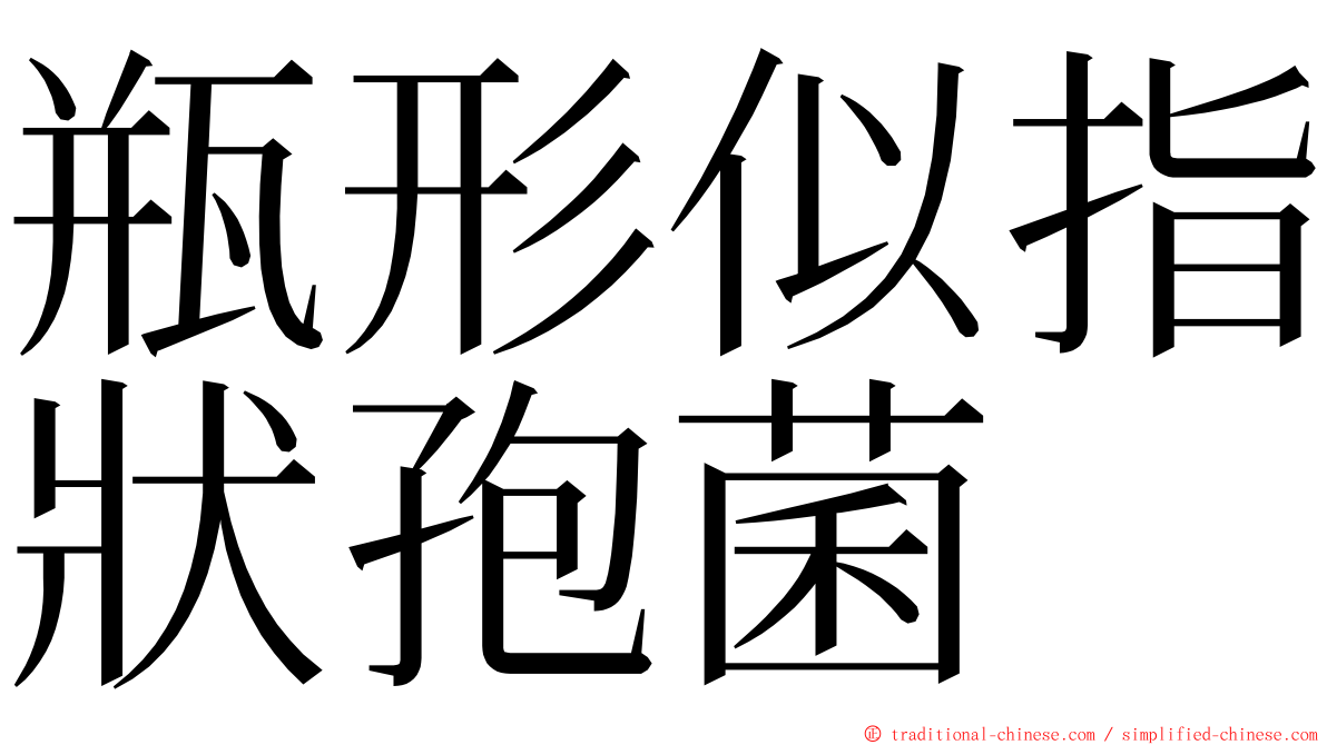 瓶形似指狀孢菌 ming font
